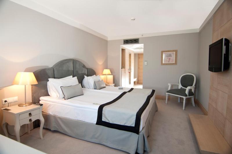 Deluxe Suite image 4