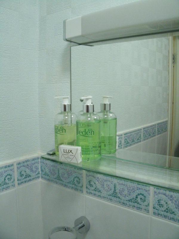 Single Room image 1