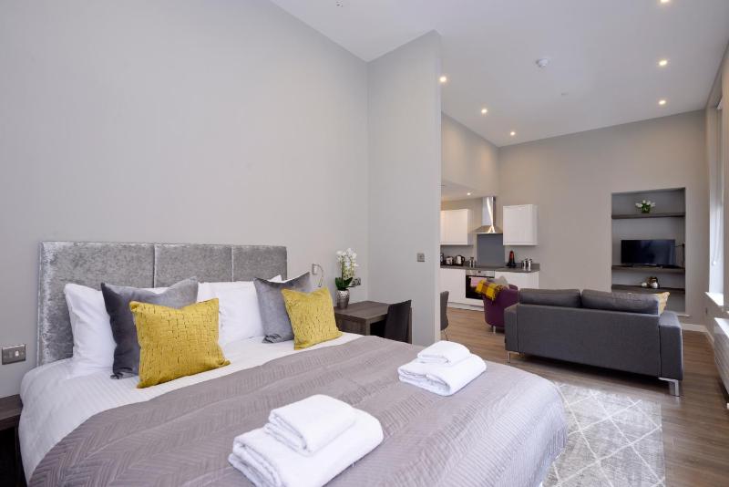 Superior Studio Apartment image 2