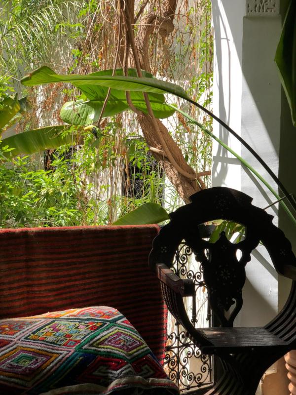 Maiya Suite image 1