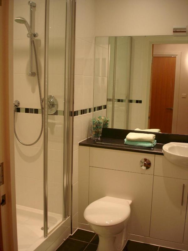 The Spires Serviced Apartments Birmingham - image 24