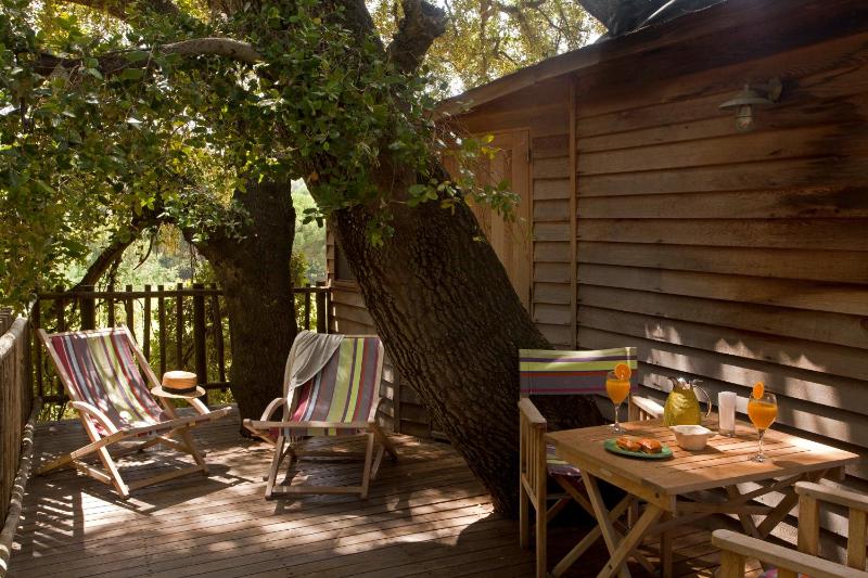 Tree House image 4