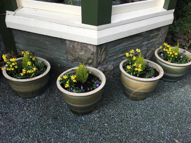 Burnside B&B - image 13