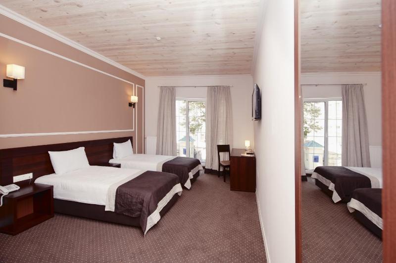 Superior Twin Room image 2