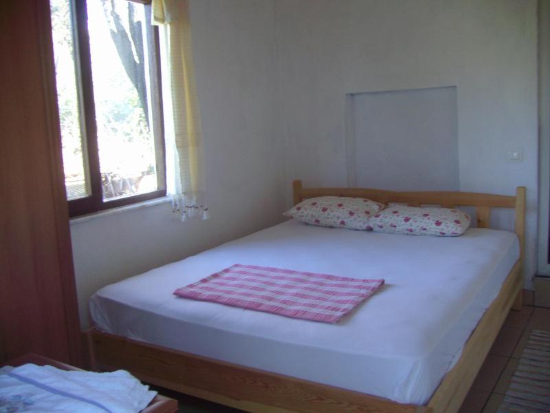 Standard Double Room image 3
