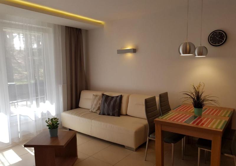 One-Bedroom Apartment image 4