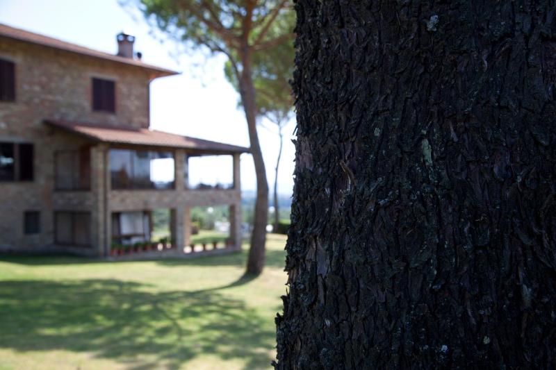 Agriturismo San Fedele - image 28