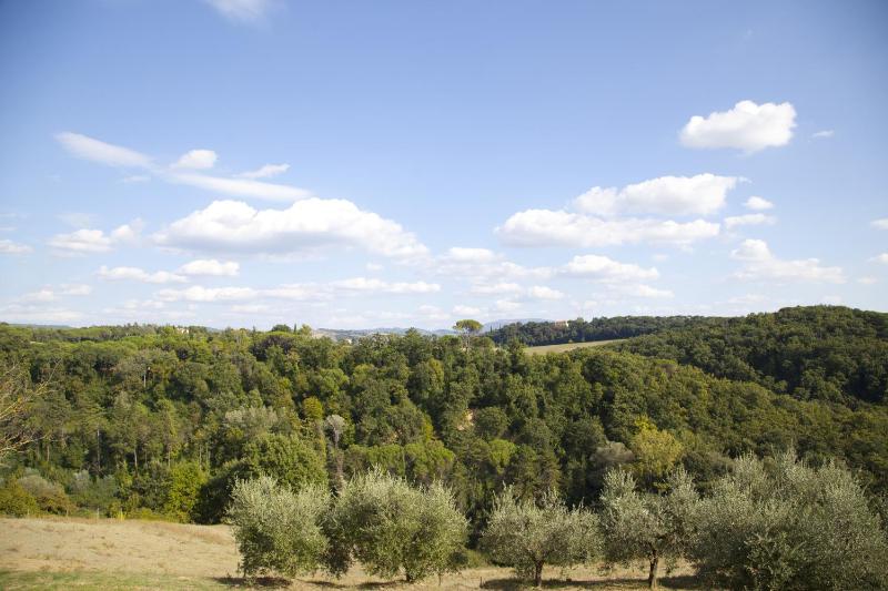Agriturismo San Fedele - image 24