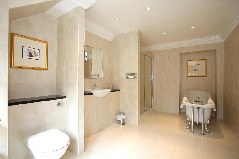 Standard Suite image 2