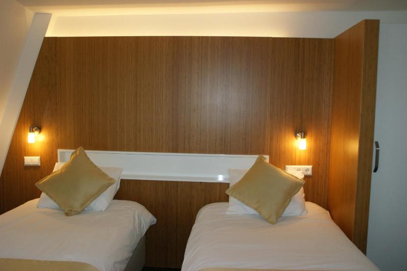 Standard Twin Room image 2