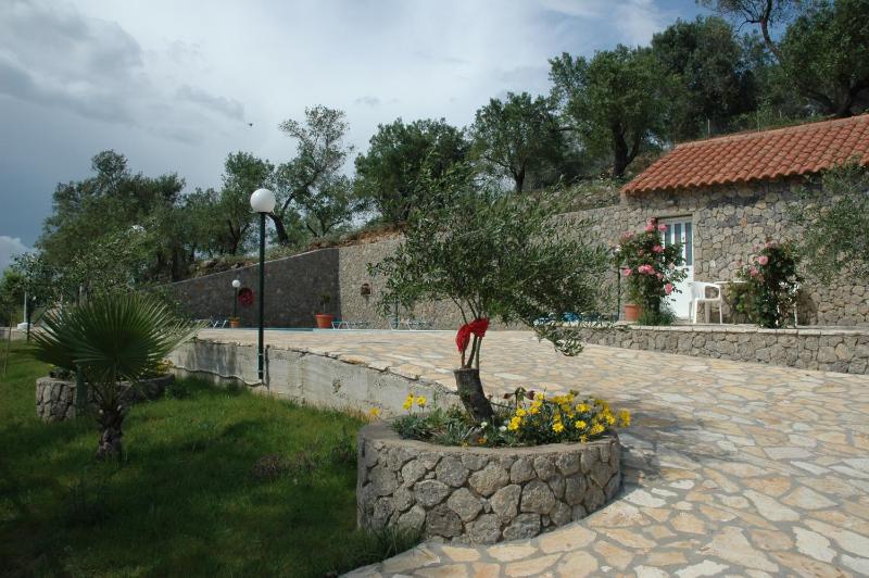 Superior Villa image 1