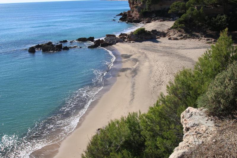 Apartamento Panorama 5 - image 13
