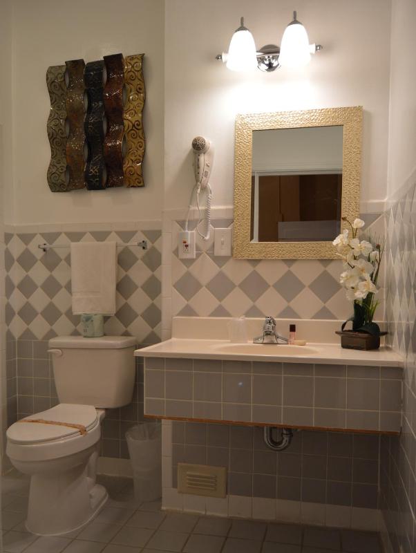SF Plaza Hotel - image 7