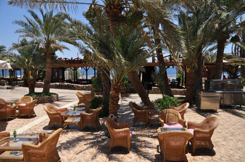 Acacia Dahab Hotel - image 7