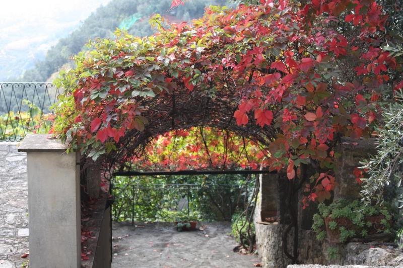 L'Antico Borgo B&B - image 27