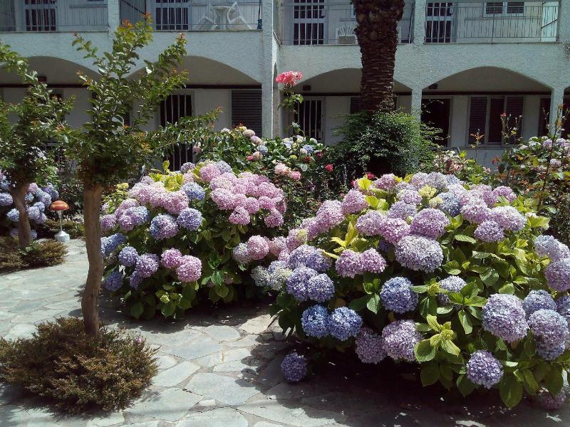 Margarita Apartments - image 11