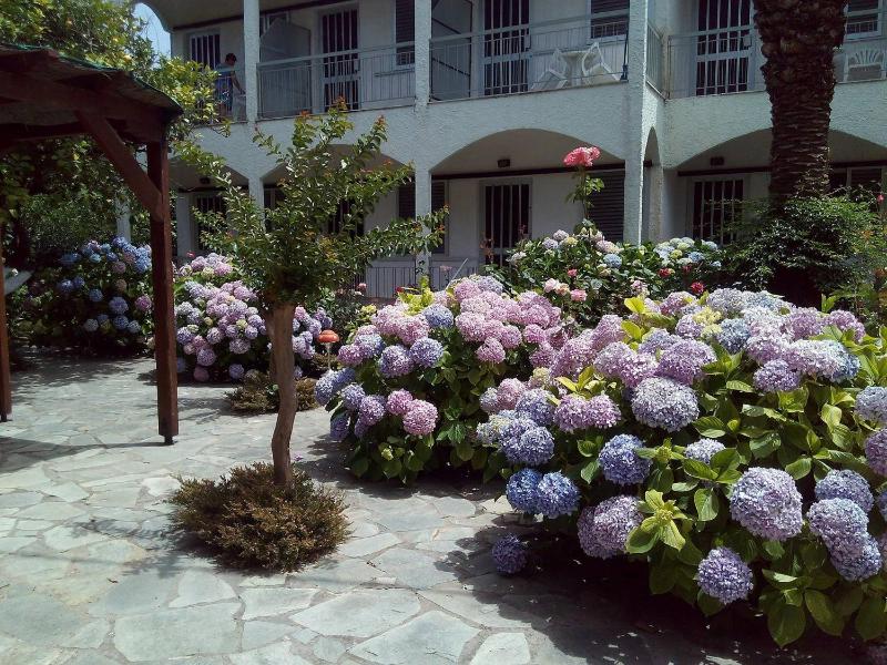 Margarita Apartments - image 7