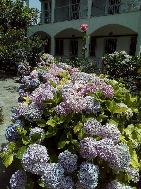 Margarita Apartments - image 10