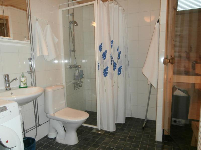 One-Bedroom Apartment with Sauna image 3