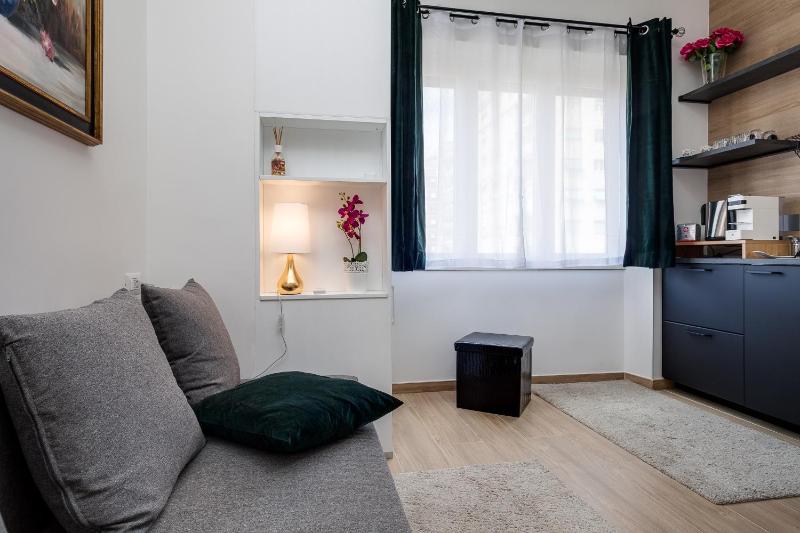 Studio Apartment image 4