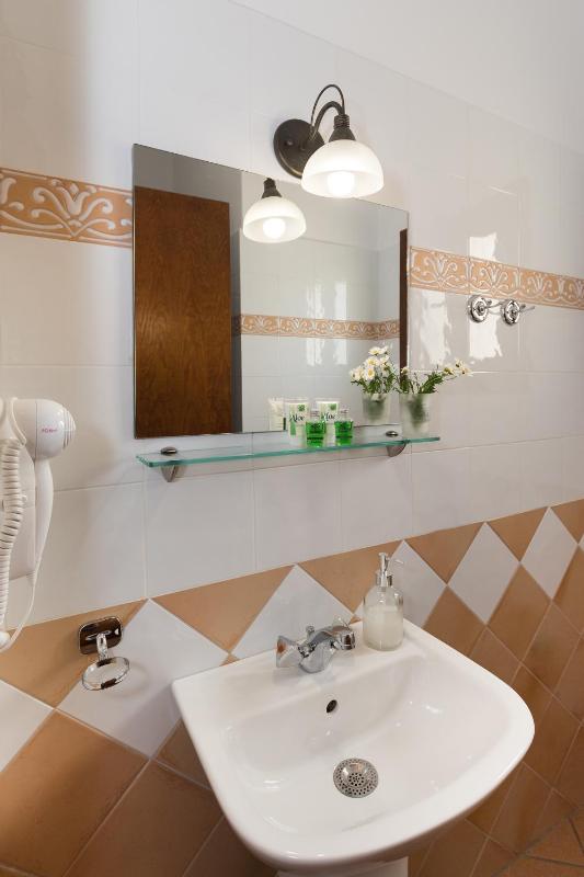 Single Room image 4