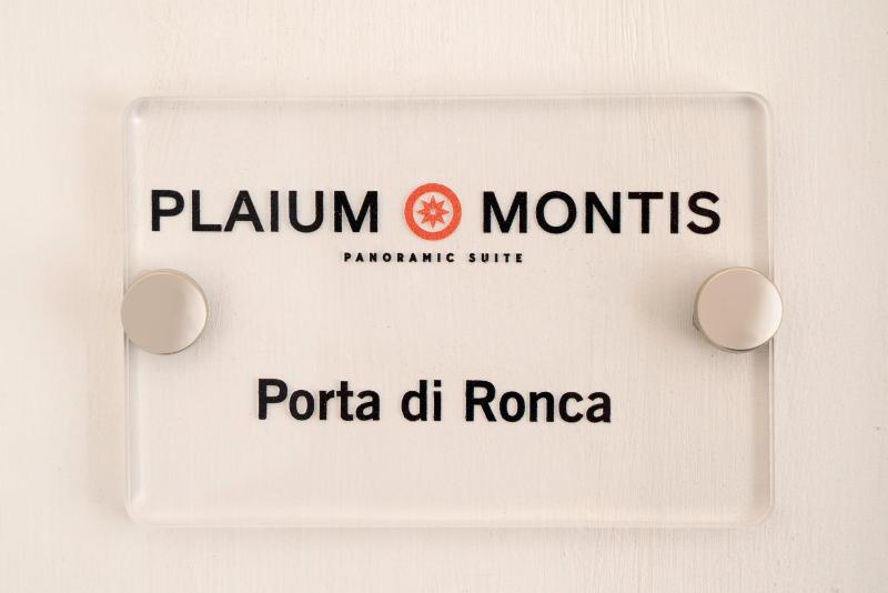 Plaium Montis - image 10