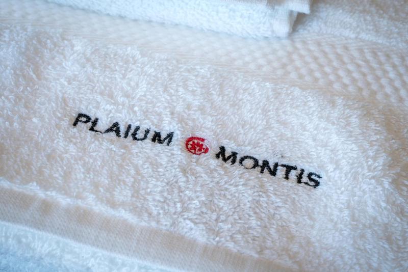 Plaium Montis - image 31