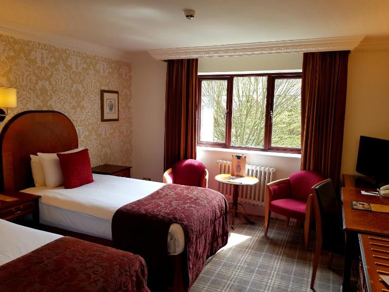 Standard Twin Room image 3