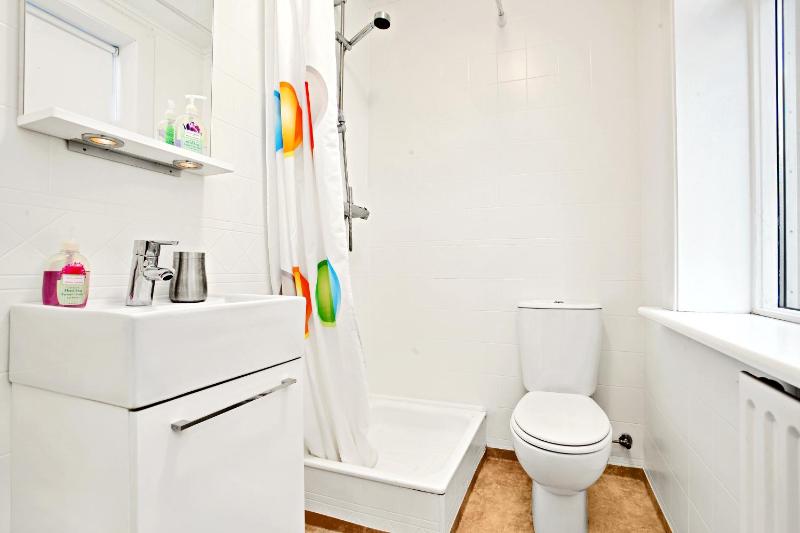 One-Bedroom Apartment image 2