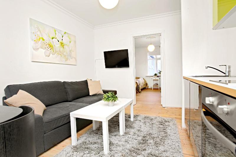 One-Bedroom Apartment image 2