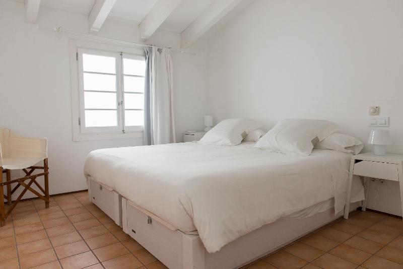 Squella - image 23