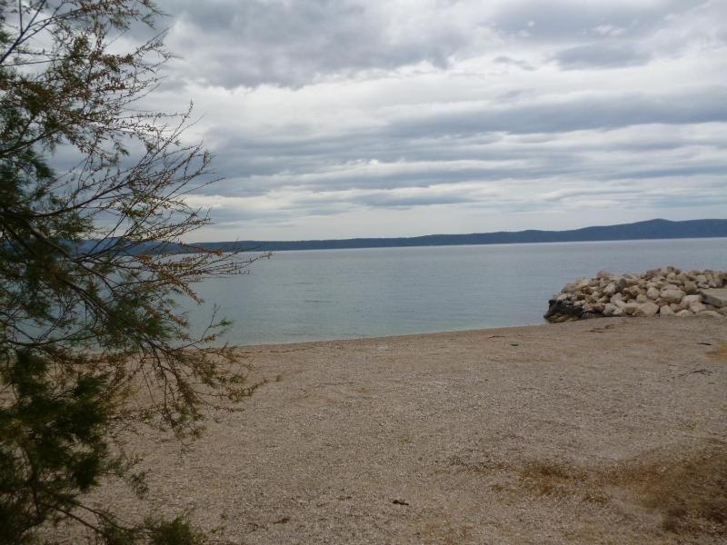 Adel - image 8