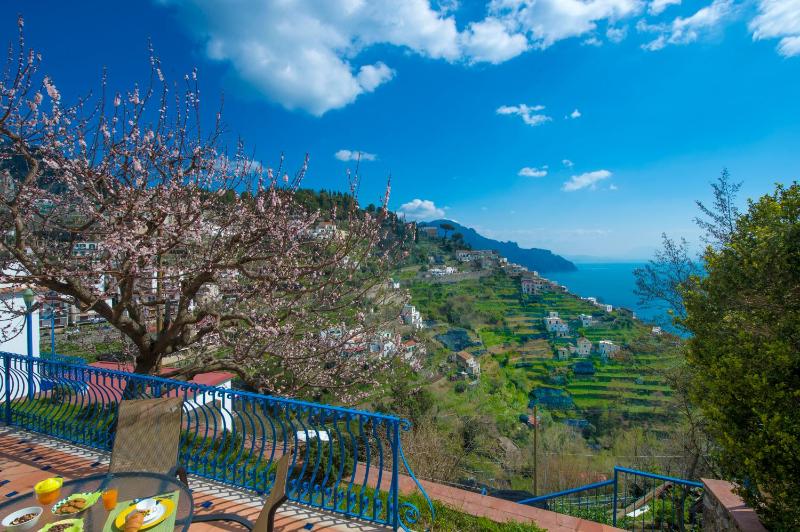 Casa Pina - image 22