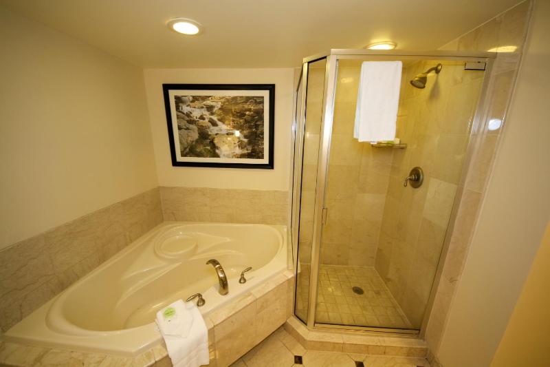 One-Bedroom Suite image 2