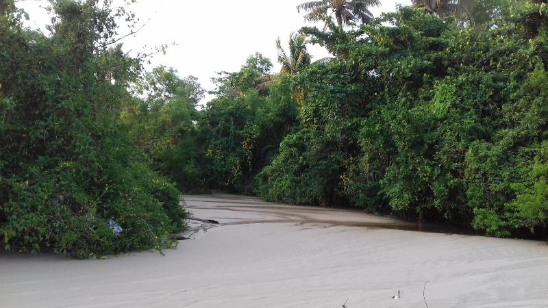 Marari Coastal Dreams Home Stay - image 10
