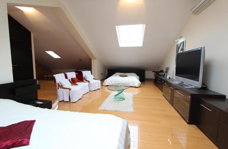 Studio Apartment image 3