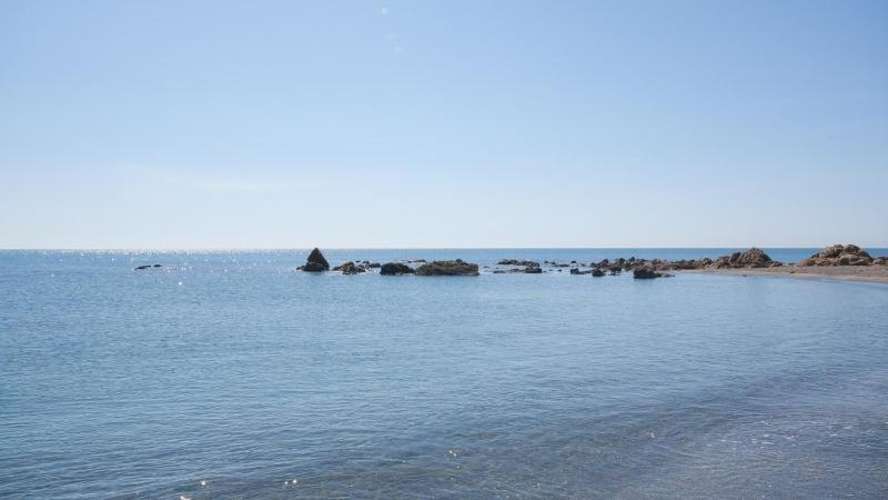 Marina del Castillo 236 - image 13