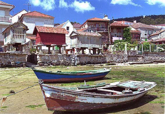 Piso Maceira Combarro - image 11