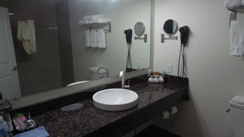 Deluxe Double Room image 1