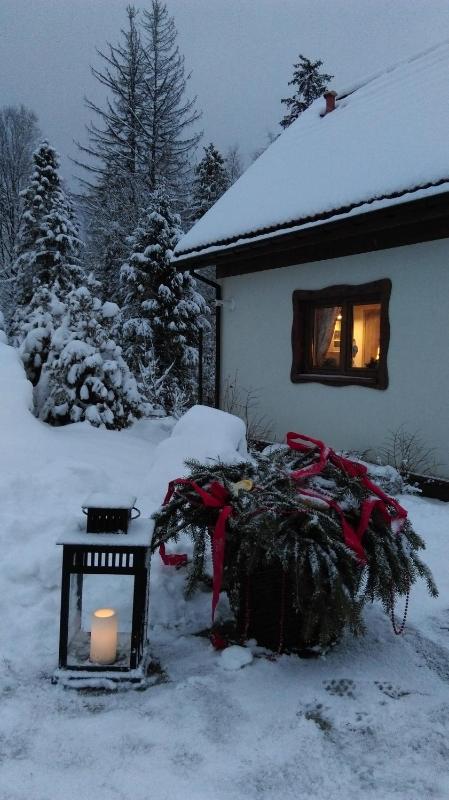 Mała Osada domki z jacuzzi przy gondoli - image 26