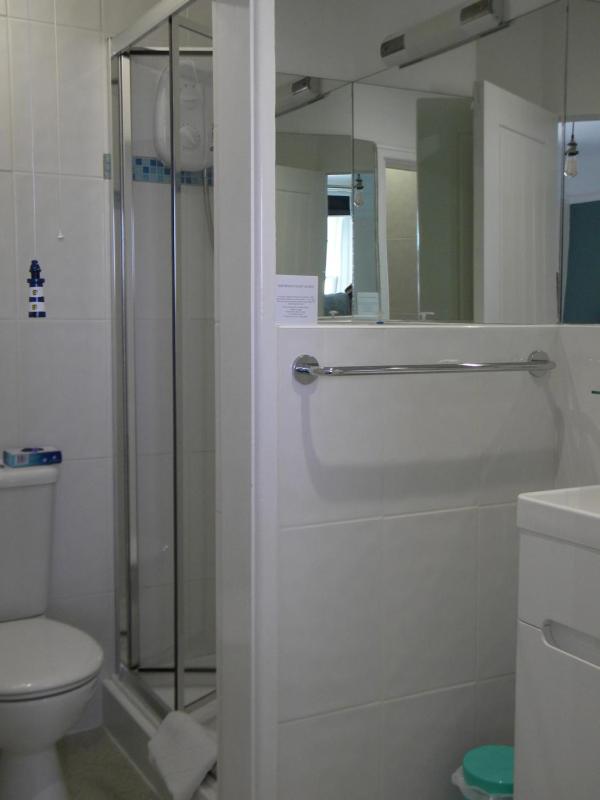 The Alendale Guesthouse - image 4
