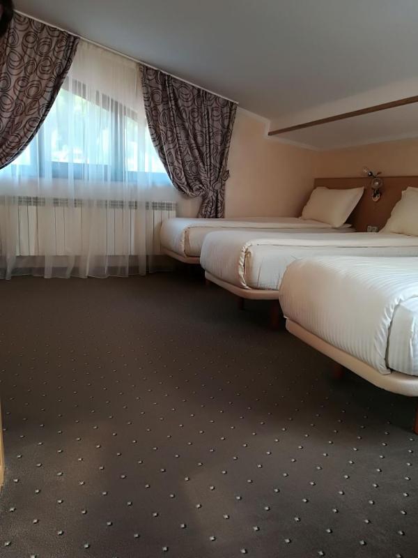 Economy Quadruple Room image 3