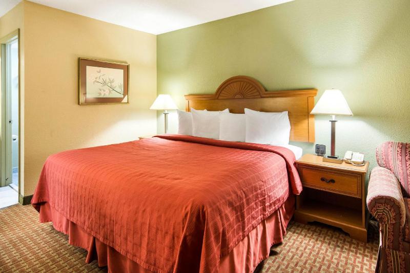 King Room - Non-Smoking image 4