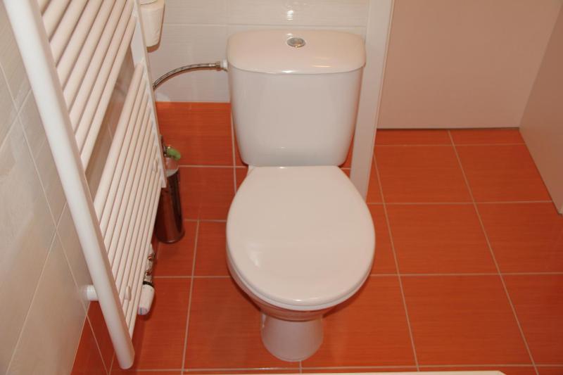 One-Bedroom Apartment image 4