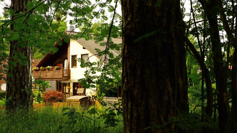 Ferienwohnung im Wald mit Kamin - image 15