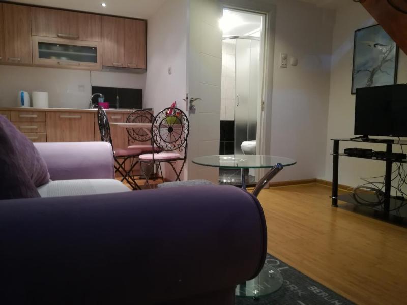 Apartman Galerija - image 6