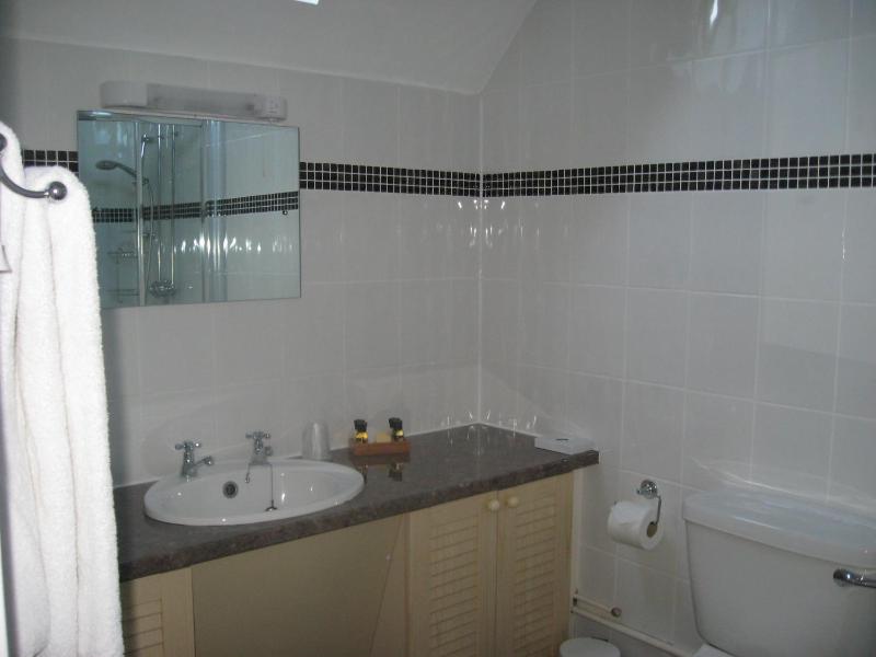 Large Double Room image 3
