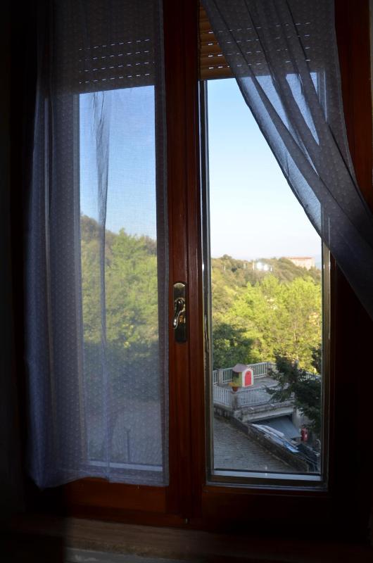 Single Room image 3