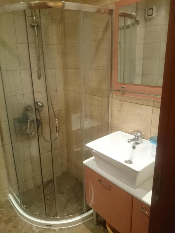 One-Bedroom Apartment image 4