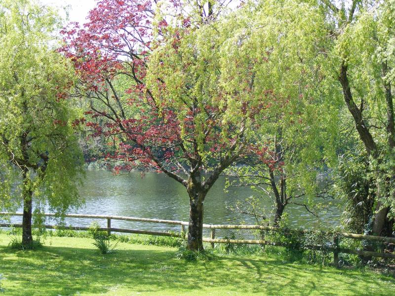 Innishannon House Hotel - image 11
